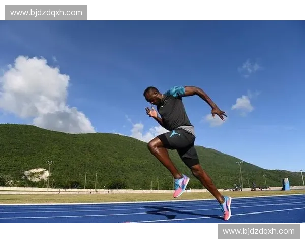 以体育画像为核心解析运动员能力特征与发展潜力新范式研究路径